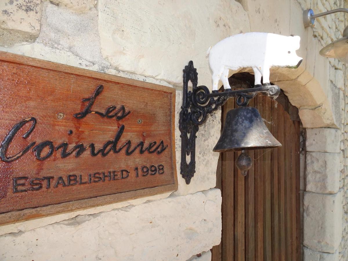 Les Coindries Villa Faye-la-Vineuse ภายนอก รูปภาพ